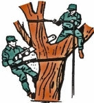 Tree Pruning
